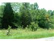 4616  Waxhaw Marvin Road , Waxhaw, NC