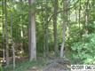 1140  Fern Hill Road 
