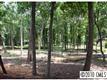 5528  Carmel Park Road 