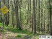10509 Briarhurst Place, Mint Hill, NC 28227