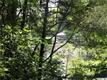 101  Beech Bluff Court 
