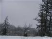 7151 Coronation Circle, Dewitt, NY 13066