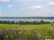 00 Wyckoff Rd, Scipio, NY 13021