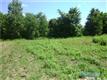 lot 7  Plank Road 