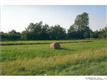 0  Macomb Settlement Road , Lyme, NY