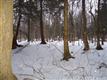 0  Stacy Dr , Boylston, NY