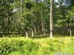 0  Lot 10 Rd , Palermo, NY