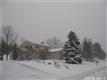 7838  Karakul Ln 
