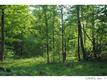 0  Brook Trout Ln , Redfield, NY