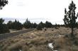 13422 SW Airfield Lane, Culver, OR 97734