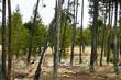 8 Dancing Rock Loop, Bend, OR 97707
