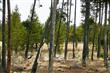 8 Dancing Rock Loop, Bend, OR 97707