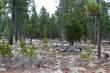 8 Dancing Rock Loop, Bend, OR 97707