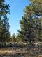 18705 Tumalo Res Road, Bend, OR 97701