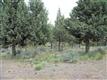 0 Braid Dr, Bend, OR 97701