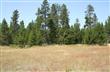 16154  Burgess , La Pine, OR