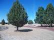 8858 SW Waterhole Pl, Terrebonne, OR 97760