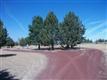 8858 SW Waterhole Pl 