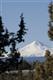 13685 SE Canyon Dr, Crooked River, OR 97760