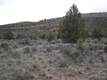 0 Steelhead Falls Road, Crooked River, OR 97760