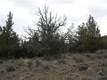0 Steelhead Falls Road, Crooked River, OR 97760