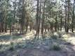 3549 NW Mccready Dr, Bend, OR 97701