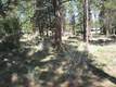3549 NW Mccready Dr, Bend, OR 97701
