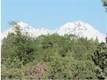 64841 Half Mile Lane, Bend, OR 97701