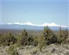 15175 SW Two Saddle Ct , Powell Butte, OR