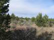 70400 NW 93rd St, Terrebonne, OR 97760