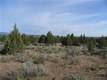 70400 NW 93rd St, Terrebonne, OR 97760