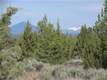 70400 NW 93rd St, Terrebonne, OR 97760