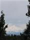 3399 NW Greenleaf Way , Bend, OR