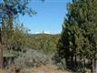    , Bend, OR