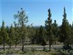    , Bend, OR