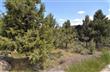 3418 NW Bryce Canyon Lane , Bend, OR