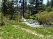 0  Holcomb Dr 