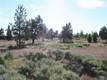 0 Bearing Ct, Bend, OR 97701