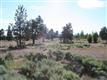 0  Bearing Ct , Bend, OR