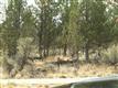 93 NW North Rim On Awbrey Butte, Bend, OR 97701