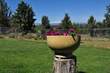 11900 SW Wahkiakum St, Powell Butte, OR 97753
