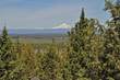 11900 SW Wahkiakum St, Powell Butte, OR 97753