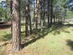 2863 NW Mcdermott Pl, Bend, OR 97701