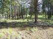 2863 NW Mcdermott Pl, Bend, OR 97701