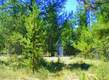 16405 Mule Deer Lane, Bend, OR 97707