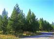 16405 Mule Deer Lane, Bend, OR 97707