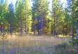 16405 Mule Deer Lane, Bend, OR 97707
