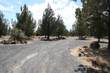 5478 SW Sagebrush Dr, Culver, OR 97734