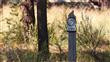 199  Fireglass Loop , Bend, OR