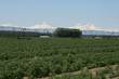 7515 Lone Pine Road, Terrebonne, OR 97760